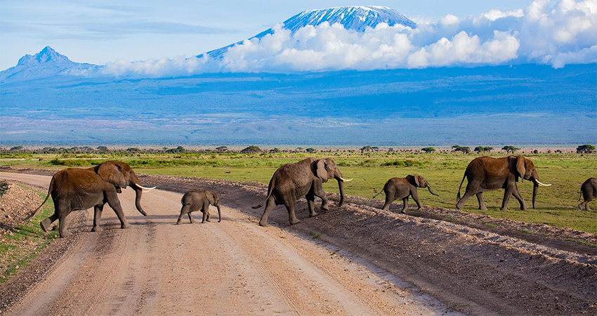 3-days-amboseli-national-park-safari