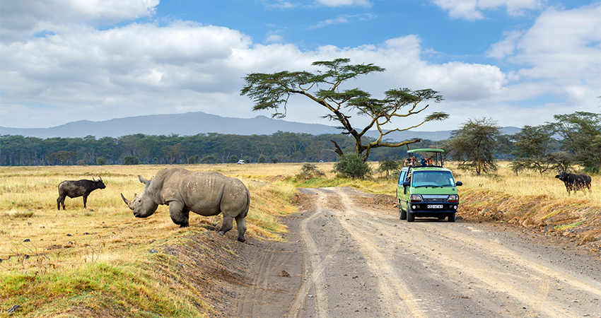 5-days-samburu-lake-nakuru-lake-naivasha-family-safari