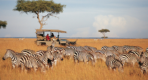 7-days-aberdare-samburu-lake-nakuru-masai-mara-family-safari
