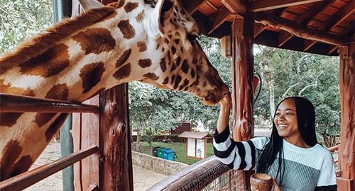 giraffe-center-day-tour